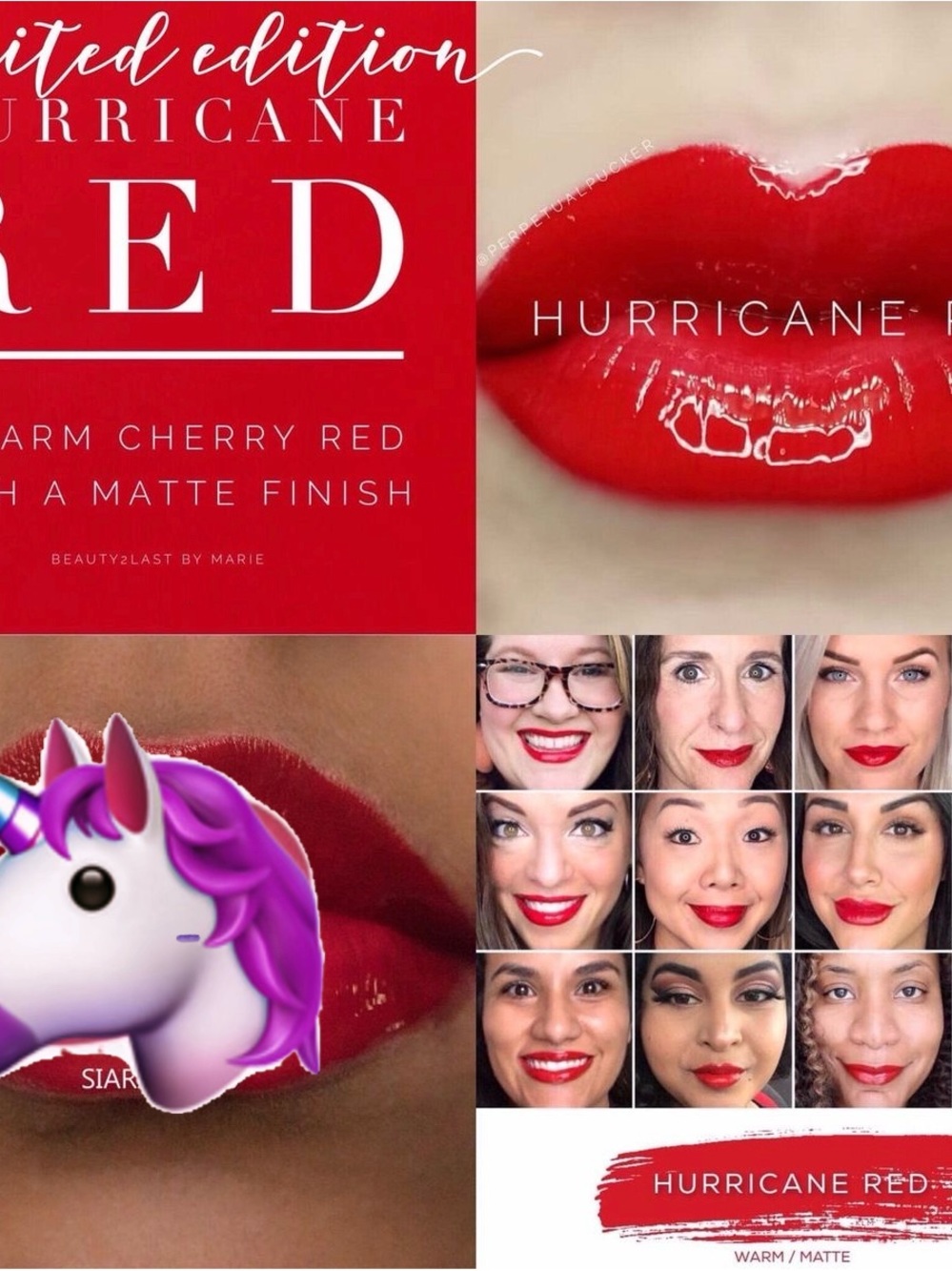 Lipsense by SeneGence new never opened full sized tube Hurricane Red